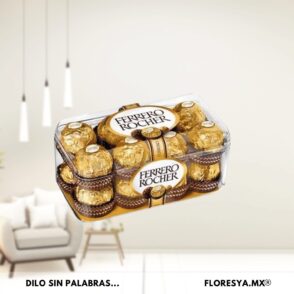 CHOCOLATES FERRERO 16